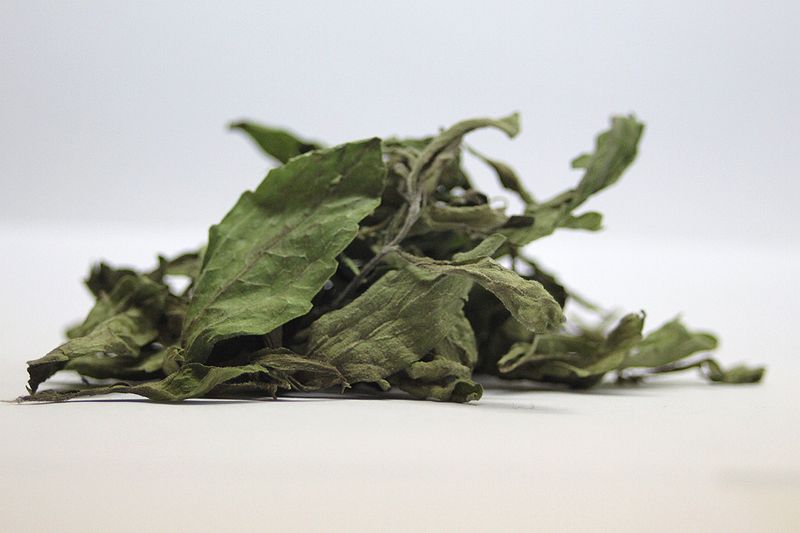 File:Stevia rebaudiana leaves dry.JPG