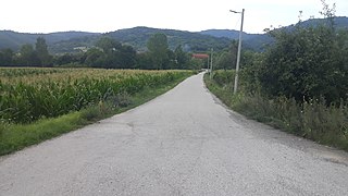 Suvaja (Kruševac) Village in Rasina District, Serbia