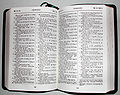The Amoy Romanized Bible