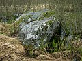 Tamošaičių akmuo-milžinas