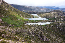 Robert Tarn, Mackenzie Tarn and Johnston Tarn (foreground to background), Tarn Shelf