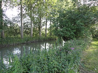 The river at Plivot