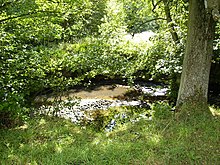 Farndale is a Site of Special Scientific Interest