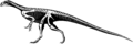 Thecodontosaurus antiquus skeleton.png