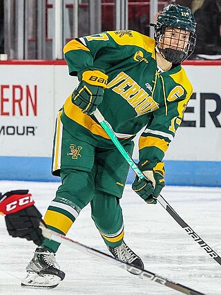 <span class="mw-page-title-main">Theresa Schafzahl</span> Austrian ice hockey player