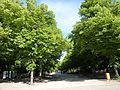 Tiergarten, Berlin, Germany - panoramio (83).jpg