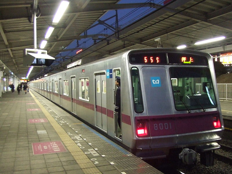 File:TokyoMetro8000Series.JPG