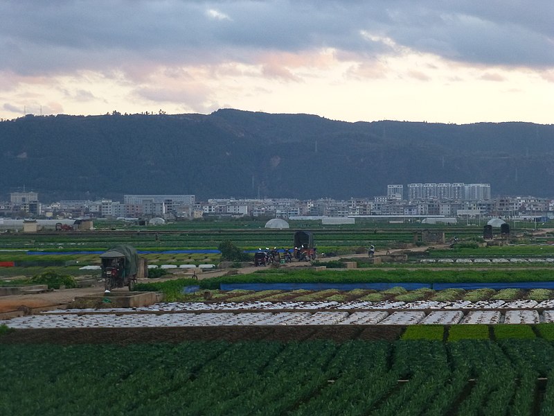 File:Tonghai County - fields south of Qilu Lake - P1360434.JPG