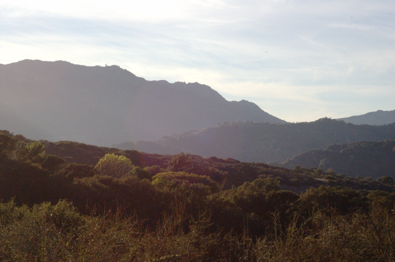 Westfield Topanga, Malls and Retail Wiki