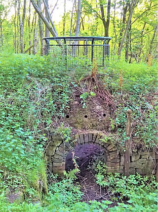 <span class="mw-page-title-main">Towneley Colliery</span>