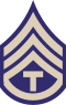 Армия США Второй мировой войны T3C.svg