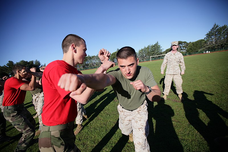 File:US Marines build relationships with French Marines 130523-M-PD728-007.jpg