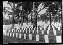 An HALS photograph of San Francisco National Cemetery in San Francisco VIEW OF CEMETERY SECTION NAWS (NEW ADDITION WEST SIDE) AMONG THE EUCALYPTUS TREES. VIEW TO SOUTH. - San Francisco National Cemetery, 1 Lincoln Boulevard, San Francisco, San Francisco HALS CA-1-7.jpg