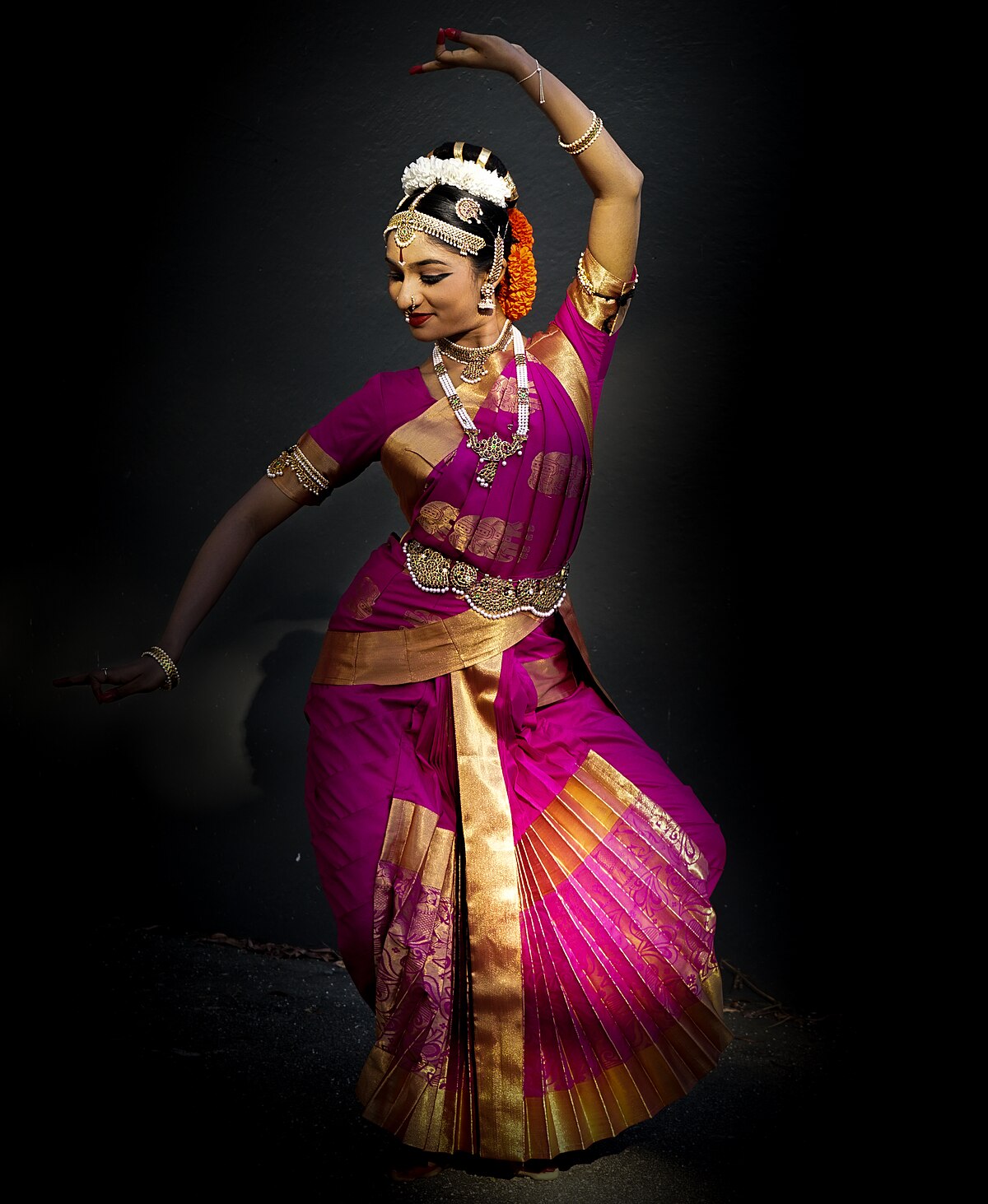Traditional Dance Steps Images - Free Download on Freepik