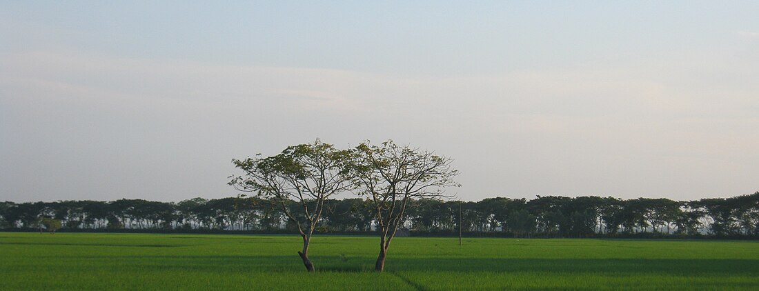 File:Village of Bangladesh by Rezowan.jpg