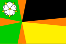 Flagg av Driezum