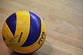 The volleyball ball
