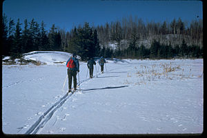 Voyageurs National Park VOYA9502.jpg