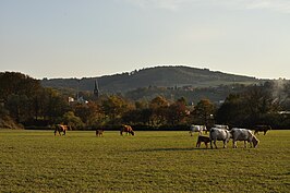 Gezicht op Manzat