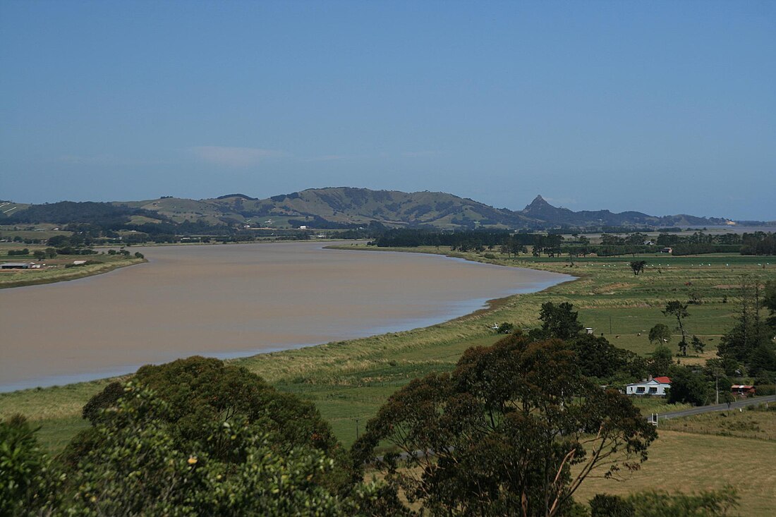 Wairoa (fleuve du Northland)