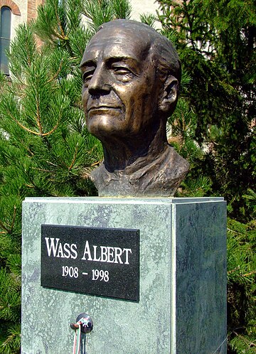 Albert Wass