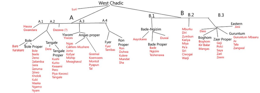 Hausa–Gwandara languages