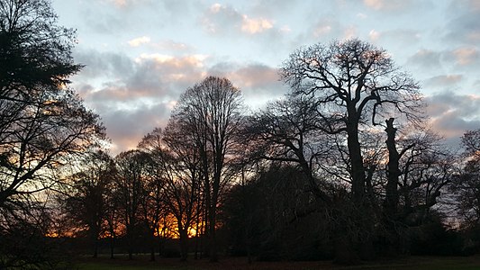 Day 13: TWinter Sunset at Rousham House and Garden, UK