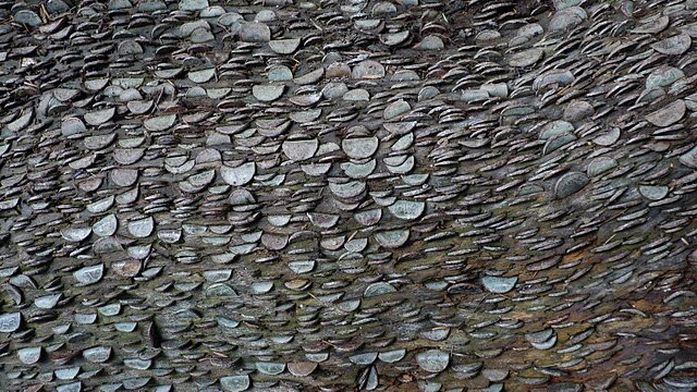 Coin tree at Bolton Abbey