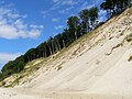 A cliff in the Wolin National Park (Poland)