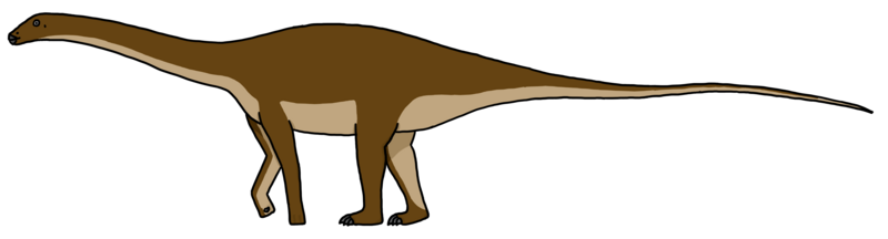 File:Zapalasaurus.png