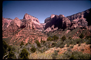 Zion National Park ZION2443.jpg