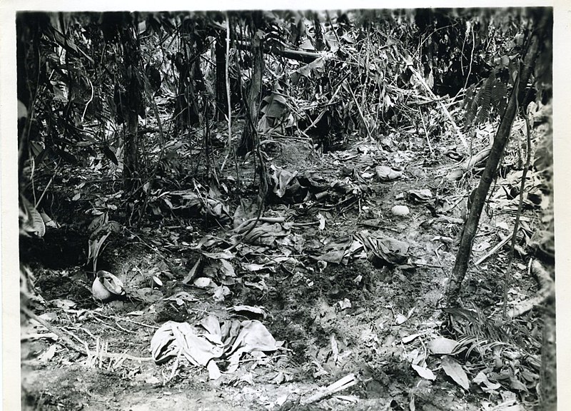 File:"Japanese Bivouac Area", 24 November 1943.jpg