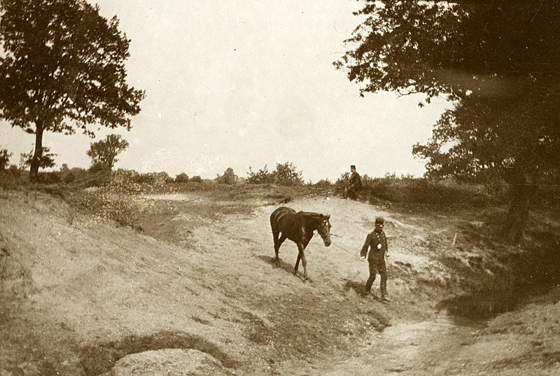 File:(NL c.1900) Exercise Horse Artillery Corps, Pict. AKL092024a.jpg