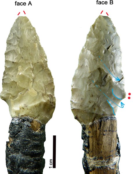 File:Ötzi Arrowhead 12.tif