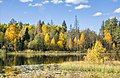 * Nomination Быковщинское озеро. Bykovshchinsky Lake in the Kirov region --Ele-chudinovsk 11:48, 1 July 2022 (UTC) * Decline No sharpness or detail; blurred. --Peulle 13:19, 1 July 2022 (UTC)