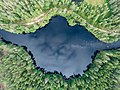 * Nomination Lake at Uuksunjoki photographed from above. Pitkyarantsky district, Karelia, Russia. --Красный 07:30, 1 June 2023 (UTC) * Promotion  Support Good quality. --Ermell 08:44, 1 June 2023 (UTC)
