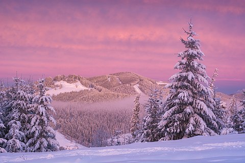 Pink morning in the Gorgany mountains