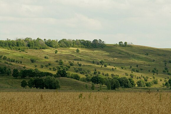 Языково лес. Село Семеновка Краснооктябрьский район. Село Семеновка Нижегородская область Краснооктябрьский район. Деревня Семеновка Нижегородской области. Краснооктябрьский район Нижегородская область.