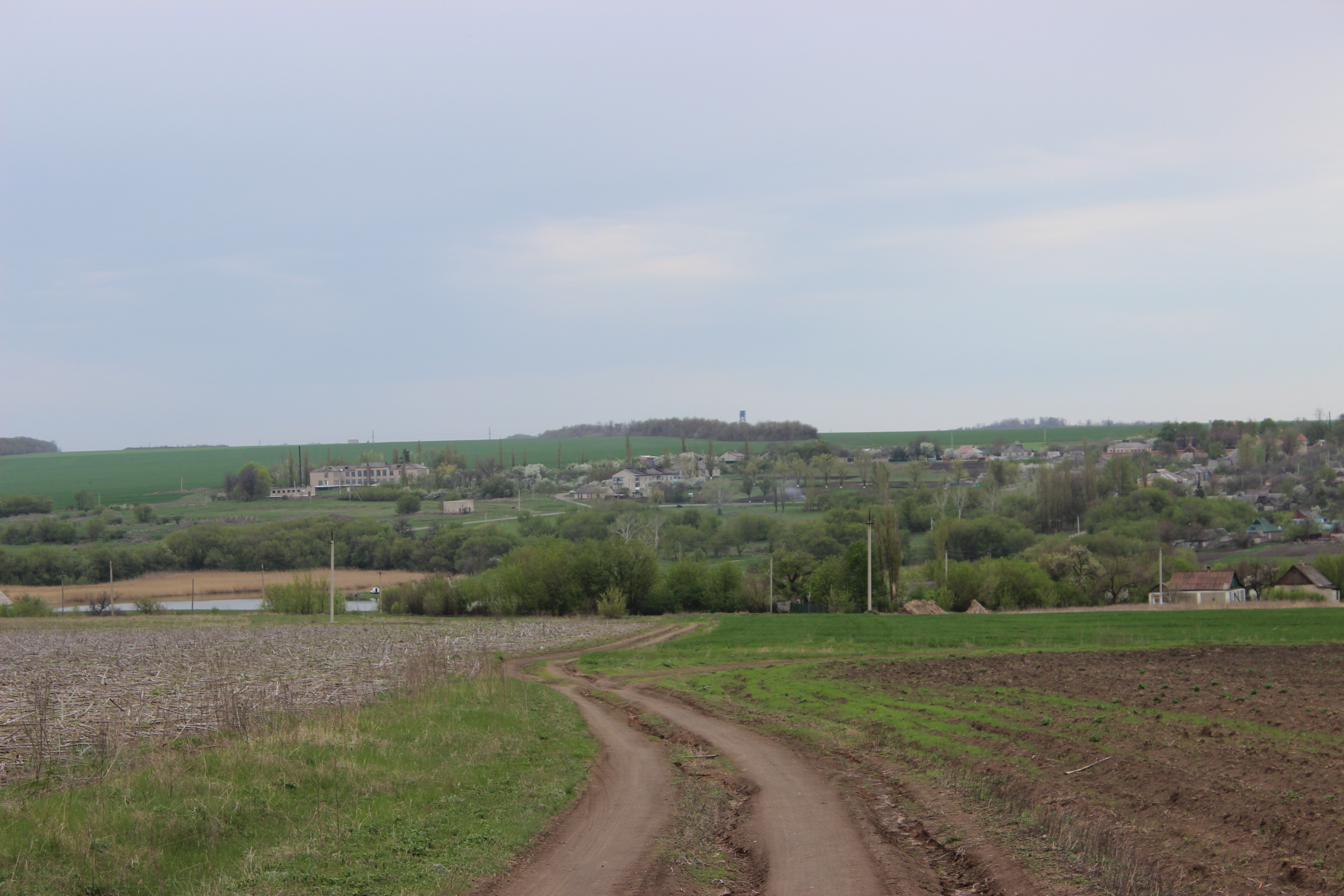 Погода степановка оренбургская