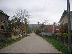 Улица у Браљини (Ражањ) - eine Straße von Braljina (Ražanj).JPG