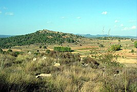 Paisatge de La Nava, amb detall del turó Morrita al fons esquerra i els turons de la serra de Rubial tancant l'horitzó pel nord