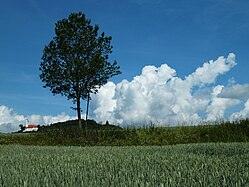 (LSG:BW-4.26.022) Bussen, Oberschwaben, Bussen 767 m ü. NHN