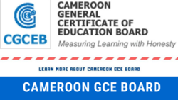 1579011902-cameroon-gce-board.png