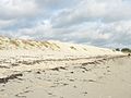Restauration de la dune du Téven par des apports de sable pour lutter contre l'érosion marine