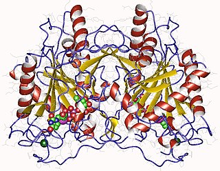 <span class="mw-page-title-main">UTP—hexose-1-phosphate uridylyltransferase</span> Class of enzymes