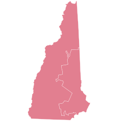 2002 NH House elections.svg