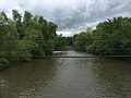 2016-05-05 14 43 38 View east down the North Branch Potomac River from the Canal Boulevard Bridge (Maryland State Route 61) between Cumberland, Allegany County, Maryland and Wiley Ford, Mineral County, West Virginia.jpg