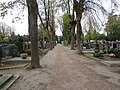 * Nomination Graves at Hauptfriedhof St. Pölten.--GT1976 11:13, 22 May 2018 (UTC) * Promotion Good quality. -- Johann Jaritz 11:21, 22 May 2018 (UTC)