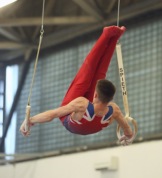 File:2019-05-25 Budapest Cup age group I all-around competition still rings (Martin Rulsch) 148.jpg