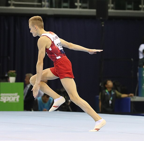 File:2019-06-27 1st FIG Artistic Gymnastics JWCH Men's All-around competition Subdivision 3 Floor exercise (Martin Rulsch) 344.jpg